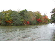紅葉はまだまだかな〜。。。