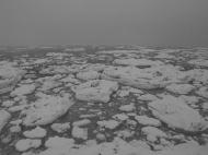 こちらは再び北浜駅前海岸の流氷です。
