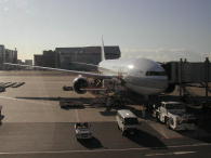 B−777です。朝日に輝いています。。