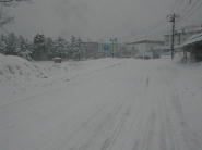 とても川湯温泉とは思えないような、雪景色です。。。