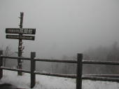 双湖台は霧に包まれています。しかも雪降ってるし。。