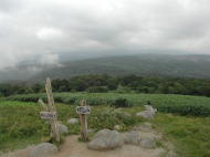 球島山山頂からの眺め、雲の中です・・・(T^T)