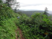 登山道からの眺めも、なかなかのものです♪
