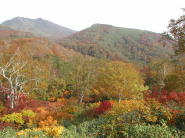この辺りの紅葉は、良い感じです。