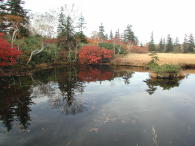 紅葉が湖面に反射して、キレイ・・・・♪