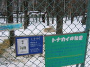 トナカイ園の柵には「喪中」の文字が・・・