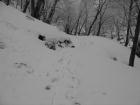 遊歩道は雪に埋もれています。。。