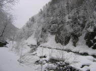 まるで季節逆行したかのような、雪景色です。。