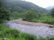 山の中に入っていきます。。。
