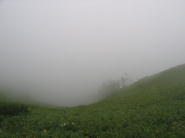 第3展望台です。。。霧の中・・・♪