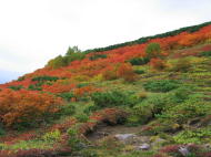 奥ノ平の紅葉。