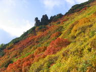 マネキ岩付近の紅葉♪