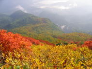 眼下に広がる紅葉♪