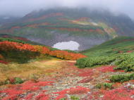 桂月岳麓の紅葉
