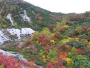 五色温泉付近の紅葉