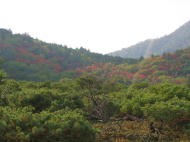 硫黄山から屈斜路寄りの紅葉