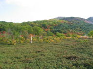 硫黄山の紅葉