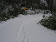 雪で埋まった自然探勝路を歩きます