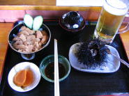 活ウニにウニ丼〜♪