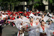 IMG_4206m.JPG (61948 oCg)