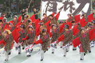 IMG_4586m.JPG (63222 oCg)