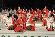 IMG_5776m.JPG (53439 oCg)