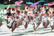 IMG_6843m.JPG (62256 oCg)