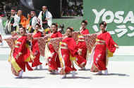 IMG_7731m.JPG (53800 oCg)