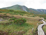 Ie7029.jpg (67501 バイト)