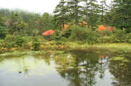 If0419.jpg (70822 バイト)