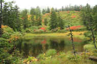 If0430.jpg (72903 バイト)