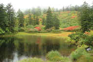 If0460.jpg (62947 バイト)