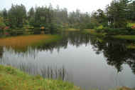 If0485.jpg (50023 バイト)