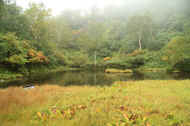 If0496.jpg (59969 バイト)