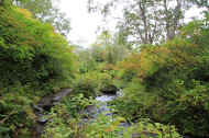 If0505.jpg (87977 バイト)