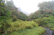 If0511.jpg (66782 バイト)