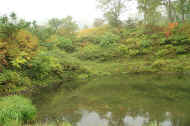 If0526.jpg (62539 バイト)