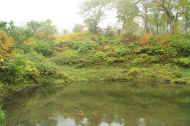 If0529.jpg (60693 バイト)