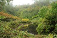 If0533.jpg (73791 バイト)