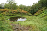 If0545.jpg (72354 バイト)