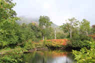 If0581.jpg (65653 バイト)