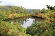 If0592.jpg (74113 バイト)