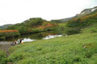 If0632.jpg (54112 バイト)