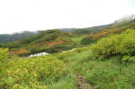 If0634.jpg (56335 バイト)