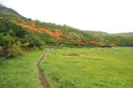 If0712.jpg (47944 バイト)