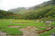 If0731.jpg (48973 バイト)