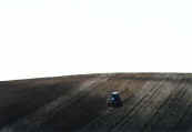 phot115.jpg (8910 oCg)