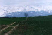 phot116.jpg (14392 oCg)
