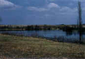 phot117.jpg (15616 oCg)