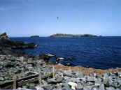 phot81.jpg (15312 oCg)
